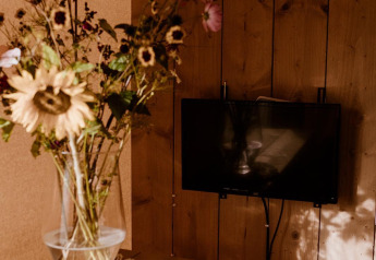 Vase med vilde blomster på træhylde og vægmonteret TV i safari telt på ferieparken Eigen Wijze.