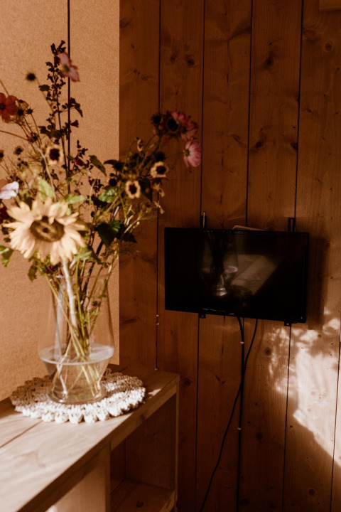Vase med vilde blomster på træhylde og vægmonteret TV i safari telt på ferieparken Eigen Wijze.