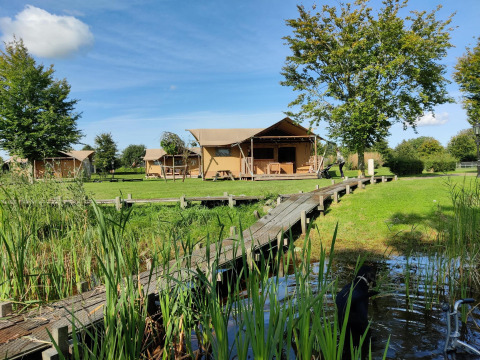 Safari-telte ved Groupaccommodation 'de Blokhut' på Holiday park Eigen Wijze, omgivet af grønt og sø.
