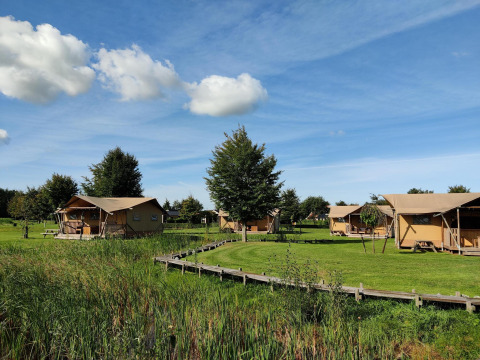 Safaritenten bij Groepsaccommodatie 'de Blokhut', vakantiepark Eigen Wijze, Nederland, blauwe hemel.