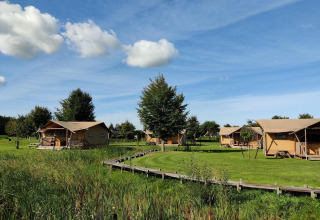 Safaritenten bij Groepsaccommodatie 'de Blokhut', vakantiepark Eigen Wijze, Nederland, blauwe hemel.