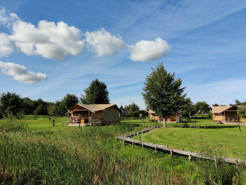 Safari-Zelte bei Gruppenunterkunft 'de Blokhut' im Ferienpark Eigen Wijze, Niederlande, auf grüner Wiese.
