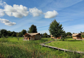 Safari-Zelte bei Gruppenunterkunft 'de Blokhut' im Ferienpark Eigen Wijze, Niederlande, auf grüner Wiese.