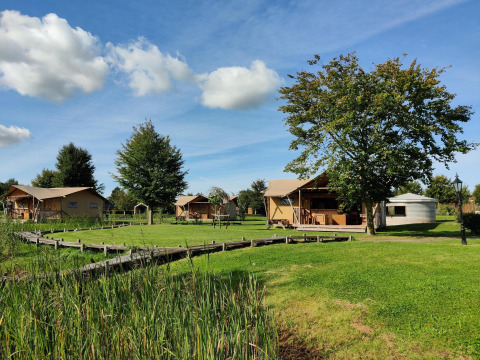 Safari tents and green lawns at Groupaccommodation 'de Blokhut' in Holiday park Eigen Wijze, Netherlands.