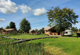Safari-telte og grønne områder ved Groupaccommodation 'de Blokhut' i Holiday park Eigen Wijze, Holland.