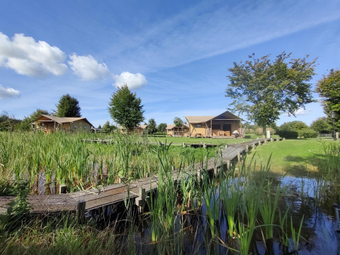 Safari-telte og træbro over sump ved Groupaccommodation 'de Blokhut', Holiday park Eigen Wijze, Holland.