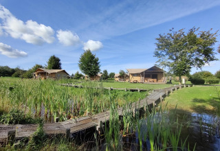 Safari tents at Groupaccommodation 'de Blokhut', Holiday park Eigen Wijze, Netherlands, by a pond and greenery.
