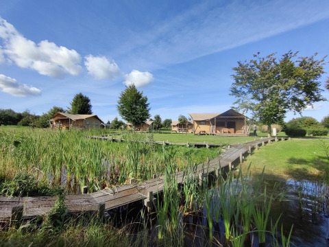 Tentes safari au Groupaccommodation 'de Blokhut' du parc Eigen Wijze, Pays-Bas, près d’un étang et de verdure.