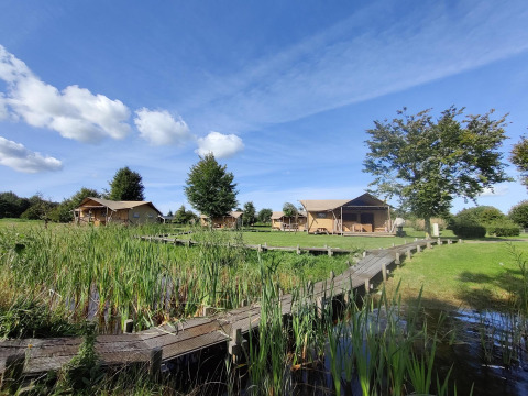 Safaritenten bij groepsaccommodatie 'de Blokhut' op park Eigen Wijze in Nederland, met houten loopbrug.