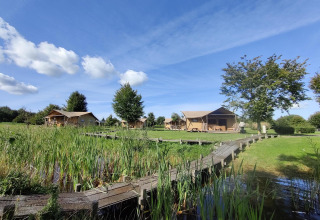 Tiendas safari de Groupaccommodation 'de Blokhut' en el parque Eigen Wijze, Países Bajos, con pasarela.
