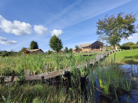 Tienda safari Groupaccommodation 'de Blokhut' en Holiday park Eigen Wijze, Países Bajos, junto a un lago.