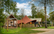 Alojamiento glamping con elegantes tiendas y cabañas de madera rodeadas de vegetación y árboles verdes.