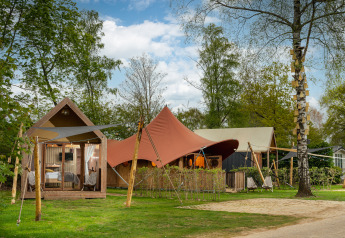 Glamping-accommodatie met moderne tenten en houten hutten, midden in het groen en tussen de bomen.