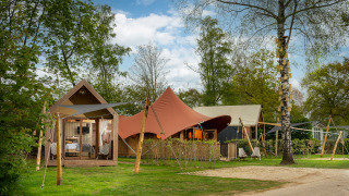 Hébergement glamping avec tentes élégantes et cabanes en bois entourées de verdure et d’arbres luxuriants.