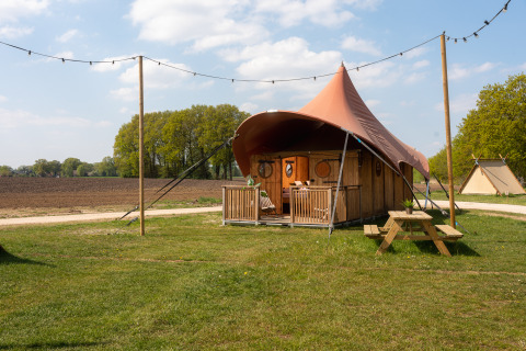 Safari tent Dream suite bij Holiday Park Mölke in Nederland met terras en picknickbank in het gras