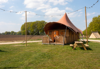 Safari tent Dream suite bij Holiday Park Mölke in Nederland met terras en picknickbank in het gras