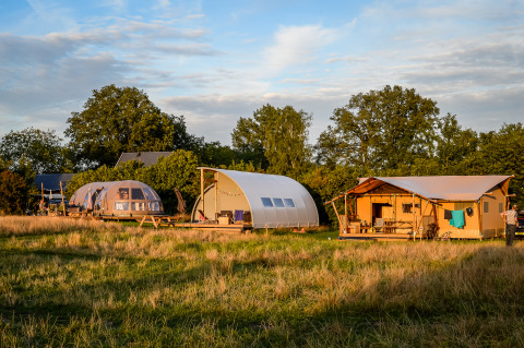 Tre moderne glamping-telte i forskellige former står på en eng, omgivet af grønne træer i aftensolen.