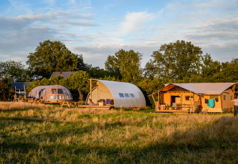 Drie moderne glampingtenten in verschillende vormen staan in een grasveld, omgeven door bomen en natuur.