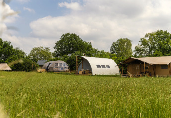 Flotte campinghytter på grøn mark ved Holiday Park Mölke, inklusive Riverdome og sanitære faciliteter.