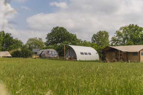 Flotte campinghytter på grøn mark ved Holiday Park Mölke, inklusive Riverdome og sanitære faciliteter.