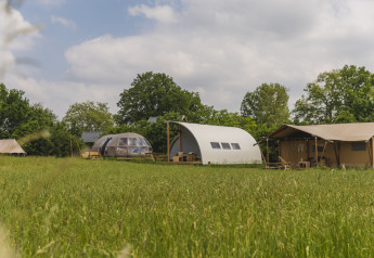 Sfeervolle lodges en Riverdome op het grasveld van Holiday Park Mölke, Nederland, met sanitair gebouw.