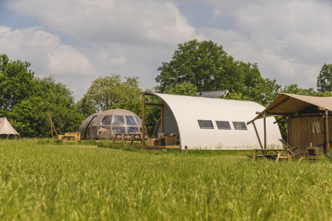 Riverdome en sanitaire blok bij Holiday Park Mölke in Nederland, te midden van groene weiden en bomen.