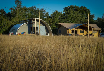 Glamping accommodatie in de natuur met stijlvolle tenten en moderne hutten tussen hoog gras en bomen.