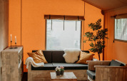 Acogedora sala en tienda safari con muebles de madera, paredes naranjas, ventana y planta decorativa.