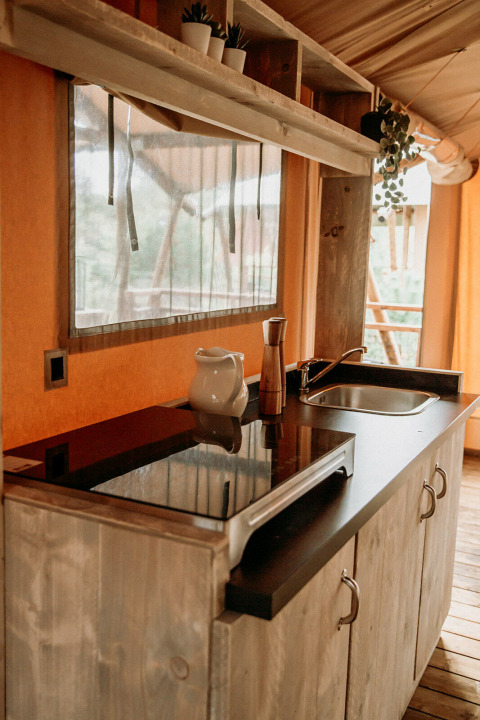 Pequeña cocina acogedora en tienda safari con fregadero, encimera, plantas y luz natural en la ventana.