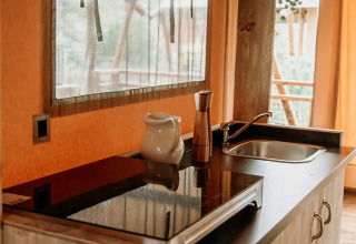 Pequeña cocina acogedora en tienda safari con fregadero, encimera, plantas y luz natural en la ventana.