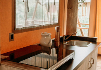 Pequeña cocina acogedora en tienda safari con fregadero, encimera, plantas y luz natural en la ventana.
