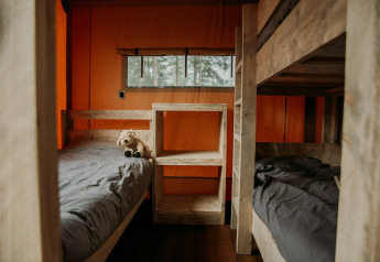 Interno di una tenda safari con letti a castello in legno, lenzuola grigie e peluche sul letto vicino alla finestra.