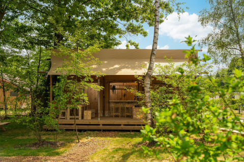 Tenda safari 'the bartender' con bagno privato presso Holiday Park Mölke, immersa nel verde olandese.