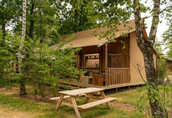 Safari-telt med terrasse og bænkettet i skovområde ved Holiday Park Mölke, Nederlandene.
