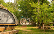 Panorama Lodge con baño rodeada de árboles y mesas de picnic en Holiday Park Mölke, Países Bajos.