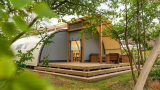 Panorama Lodge con baño en Holiday Park Mölke, Países Bajos, rodeada de árboles y naturaleza verde.