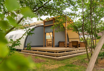 Panorama Lodge con baño en Holiday Park Mölke, Países Bajos, rodeada de árboles y naturaleza verde.