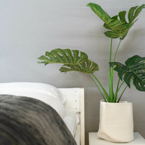 Modernes Schlafzimmer mit einer großen grünen Pflanze in einem weißen Topf neben einem Bett mit weißer Bettwäsche.