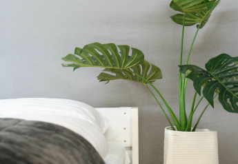 Moderne slaapkamerinrichting met een groene plant in een witte pot naast een bed met fris wit beddengoed.