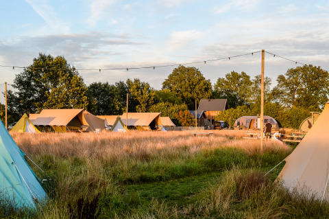 Safaritenten bij Pop-up glamping Neighbor's Awaji, Holiday Park Mölke in Nederland, omgeven door natuur.