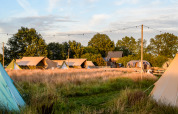 Tiendas tipo safari en Pop-up glamping Neighbor's Awaji en Holiday Park Mölke, Países Bajos, entre césped y árboles.