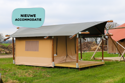 Safaritent met houten frame op gras, blauwe tekstballon met 'NIEUWE ACCOMMODATIE' erboven.