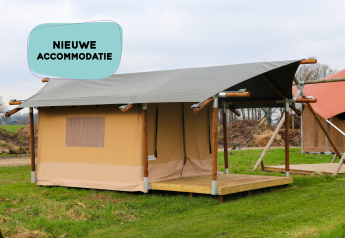 Safaritent op houten vloer in het gras, blauwe bubbel met 'NIEUWE ACCOMMODATIE' erboven.
