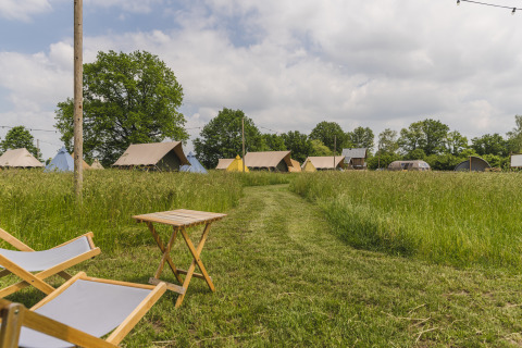 Pop-up glamping safari tents at Holiday Park Mölke in the Netherlands, lounge chairs and grassy field.
