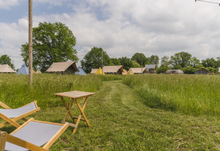 Pop-up Glamping-Safari-Zelte im Holiday Park Mölke in den Niederlanden mit Liegestühlen und Wiese.