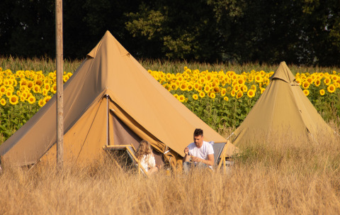 Dos personas descansan frente a una tienda belltent en Holiday Park Mölke, Países Bajos, junto a girasoles.