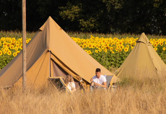 Twee mensen ontspannen voor een belltent bij Holiday Park Mölke in Nederland, naast zonnebloemen.