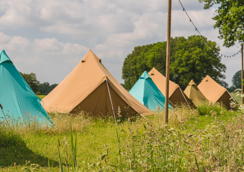 File di tende teepee colorate al Holiday Park Mölke nei Paesi Bassi, circondate da erba e alberi.