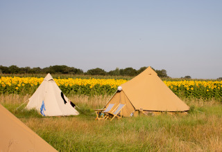 Zwei Tipi-Zelte auf einer Wiese mit Sonnenblumen im Holiday Park Mölke, Niederlande, unter blauem Himmel.
