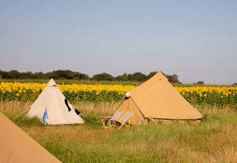 Twee tipi-tenten in een zonnebloemveld bij Holiday Park Mölke in Nederland onder een blauwe lucht.